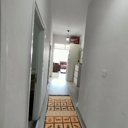 The Life House